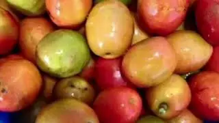 coisa da minha ro&ccedil;a.#doces #vidanaro&ccedil;a #frutas #plantas #ro&ccedil;a #sitio