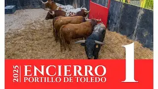 ENCIERRO 1 - Portillo de Toledo (21 Sep) 2025