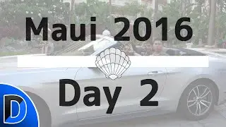 BEACH DAY - Maui Hawaii: Day 2 Vlog 2016 w/ Dood76