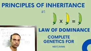 (L1)law of dominance, law of segregation, monohybrid cross in most simplified manner.