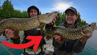 Fiskekonkurranse!!! // Lågen Gjeddefestival 2024🐊🔥