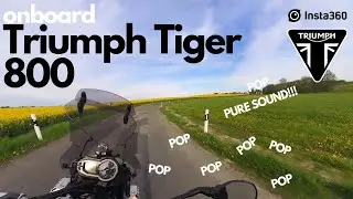 Bad Roads? No Problem for the Triumph Tiger 800 (onboard RAW)