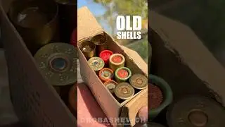 SHOTGUN VIBE #shotgun #shorts #gauge #bullet #shot #rdr2 #asmr #gun #hunter #hunting #nature