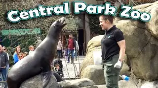 Central Park Zoo and Children's Zoo - New York City