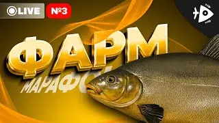 РР4 • НЕДЕЛЬНЫЙ МАРАФОН • ДЕНЬ ТРЕТИЙ • РУССКАЯ РЫБАЛКА 4 • МЕДНОЕ ОЗЕРО
