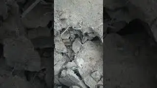 fiberglass in concrete?