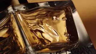 The One 20-Year Evolution: New Intense Editions Redefine Luxury Scent