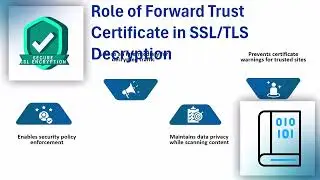 Palo Alto Forward Trust Certificate 🏆 | SSL Decryption Training 📚 | Firewall Security Tutorial 🔒