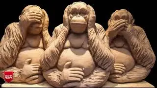 Monkeys figure 3d scanModel 3d for c4d free downloads (file describe)