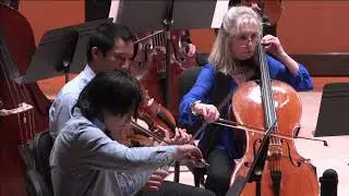 Vaughn Williams: Tallis Fantasia. MusicaNova Orchestra, Warren Cohen conductor
