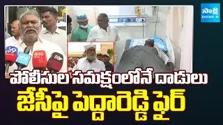 TDP Rowdies Attack on YSRCP Activists in Tadipatri : Pedda Reddy Fires on JC Prabhakar Reddy