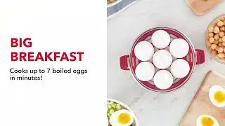 DASH Rapid Egg Cooker: 7 Egg Capacity Electric Egg Cooker