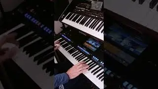 Cher - Strong Enough I Live Synth Performance | Yamaha & Korg EuroDance Cover