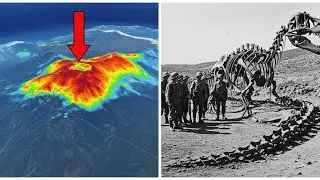 When Dinosaurs Met WWII: The Lost Program Buried Beneath a Frozen Ridge