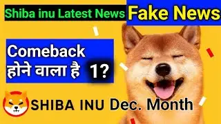 👉 Shiba Inu Latest News | Will SHIB Make a Big Comeback in December?