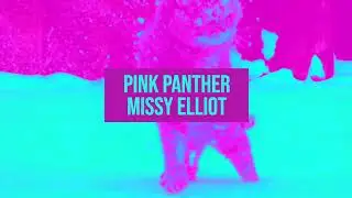PINK PANTHER vs LOOSE CONTROL (Missy Elliot) - Phil Harris Remix