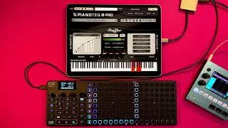Oxi One MK2 sequencing Pianoteq (Jamuary 2026 Day 7)