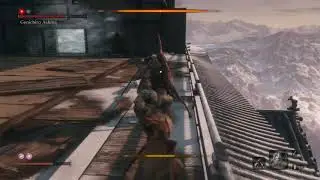 &ldquo;For the glory of Ashina...&rdquo;