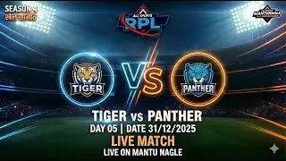 Tiger vs Panther LIVE 🔴 | RPL Season 04 | Multai Tennis Ball Cricket #mantunagle