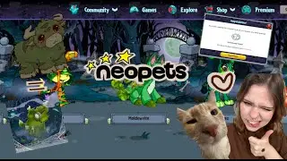 playing Neopets for the first time ever in 2024