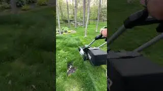 Egop power + 22&rdquo; aluminum deck mower select cut #ego #egopowerplus #powerbeyondbelief #subscribe