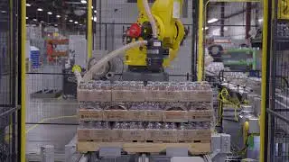 Robotic Palletizing for Beverage Trays by Pearson Packaging Systems