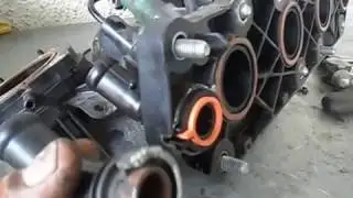 Sumindo Água Onix