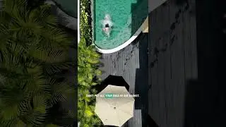 #money #realestate #bali #indonesia #investment #baliinvestment #balihome #balirealestate #villas