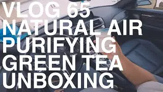 BMW Natural Air Purifying Green Tea—Feels Like Japan & A Good Alternative To Sparkling Raindrops