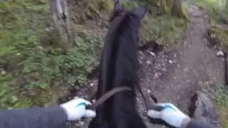 Ross Dam Trail