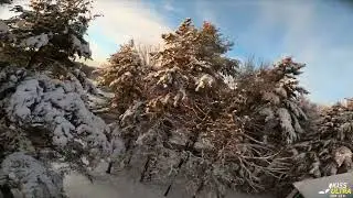 LoFlo v3 HD Snowfall Sunrise December 2023