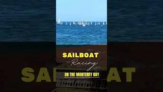 Sailboat Racing on the Monterey Bay