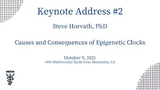Causes and Consequences of Epigenetic Clocks