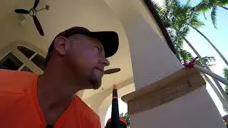 Iguana Exterminators Iguana Removal & Basilisk Lizard Removal in Plantation, FL May 2022.