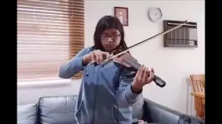 Malayalam Nostalgic Songs - Violin Fusion - Inspired by Thaikkudam Bridge