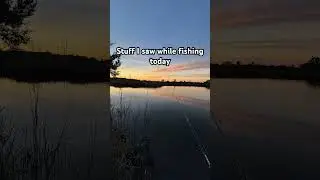 ✨veiw✨ #fishing #fish #bassfishing #saltwaterfishing #cabelas #viral #shortvideo #countrymusic