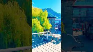New Zealand&rsquo;s Most Popular Destination #shorts #reels #kiwi #nz #nature