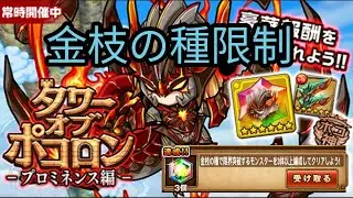 【ポコダン】タワポコプロミネンス編 30階 金枝限制