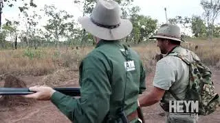 The Heym 89B - Hunting Water Buffalo in Arnhem Land