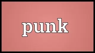 Punk Meaning