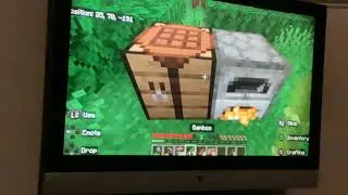 Ik speel een nieuwe survival wereld met mijn vriend(Minecraft Survival)#1
