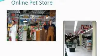 Cheap Pet Supplies