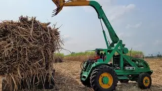 Cane loader