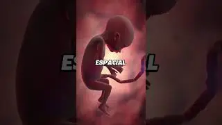 E se VOC&Ecirc; nascesse em uma esta&ccedil;&atilde;o espacial? #astronauta #espa&ccedil;o #esta&ccedil;&atilde;oespacial #shorts