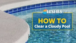 How to Clear a Cloudy Pool | Leslie's