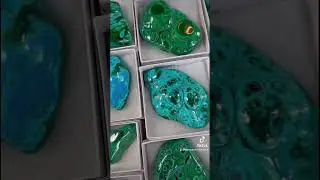 2023 Augusta Aiken Gem Mineral show #gemshow #minerals #fossils #daintydaisymerchandise