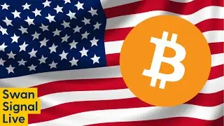 Bitcoin in the U.S.A. - Alex Gladstein and Brady Swenson.