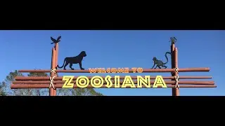 Zoosiana full tour 2023
