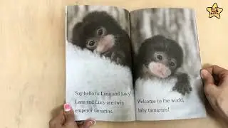 【星愿文化】Welcome to the World, Zooborns