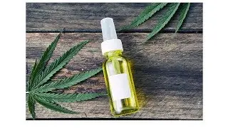 Homemade CBD dog treats